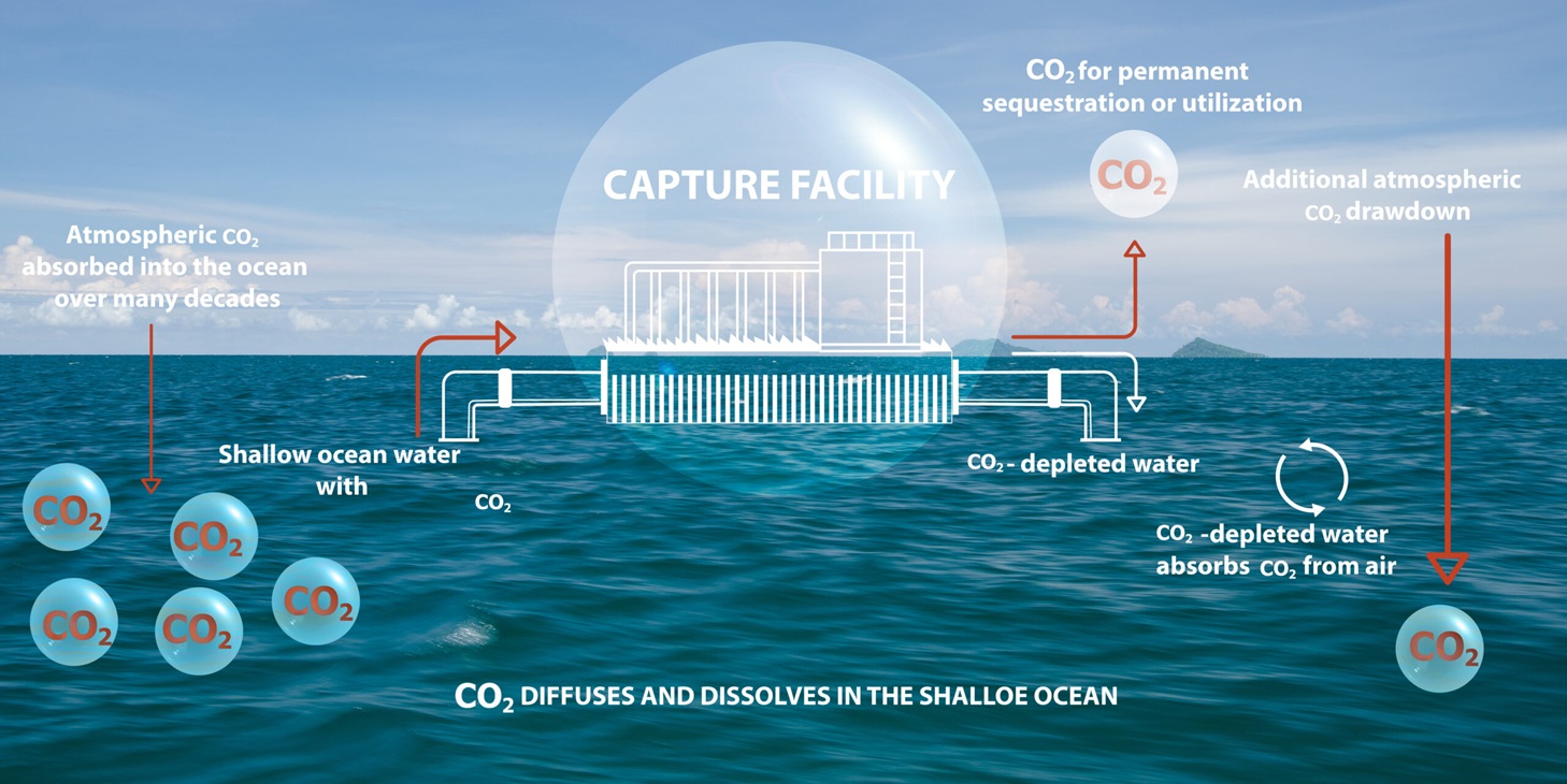海洋が切り開く脱炭素の未来　革新技術「eDOC」が実用化へ